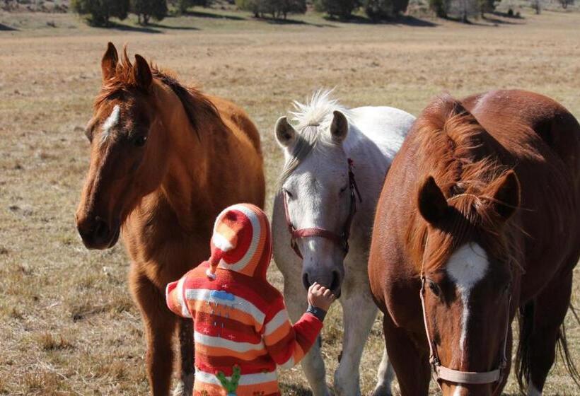 فندق Sevier River Ranch & Cattle Company