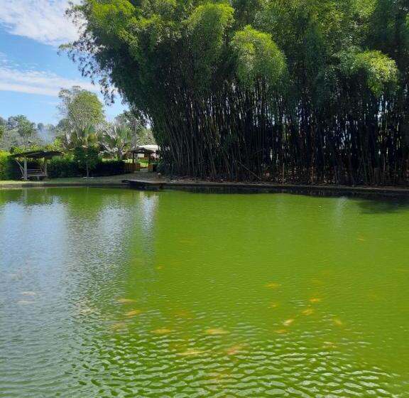 膳宿费 Campestre El Triunfo