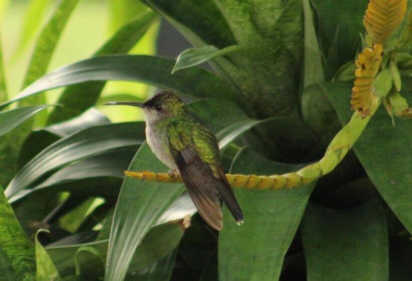 膳宿费 Campestre El Triunfo