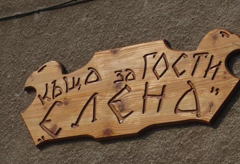 بنسيون Guesthouse Elena