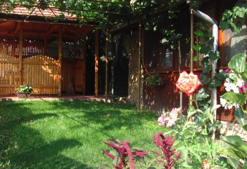 بنسيون Guesthouse Elena