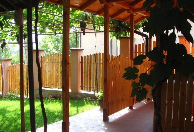 بنسيون Guesthouse Elena