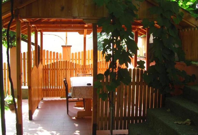 بنسيون Guesthouse Elena