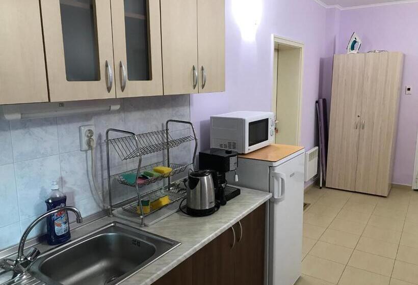 بنسيون Guesthouse Elena