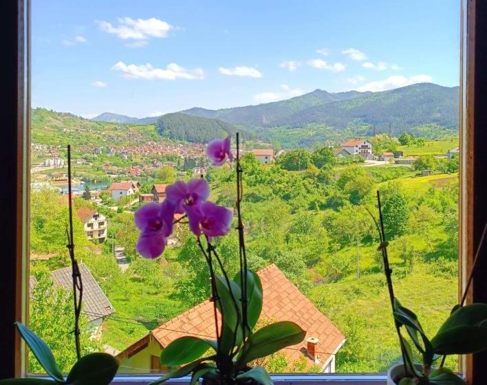 پانسیون Guesthouse Jelena