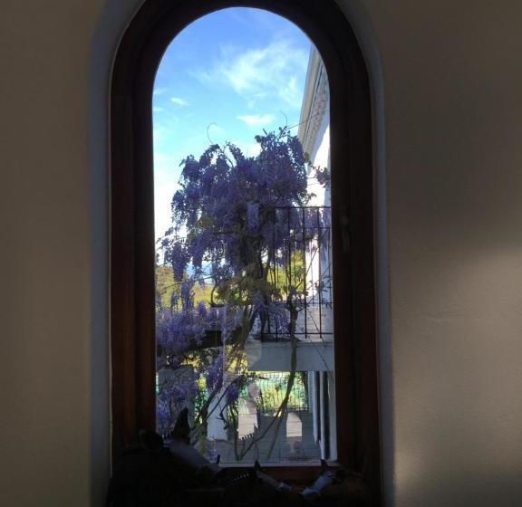 膳宿费 Montrose Guesthouse