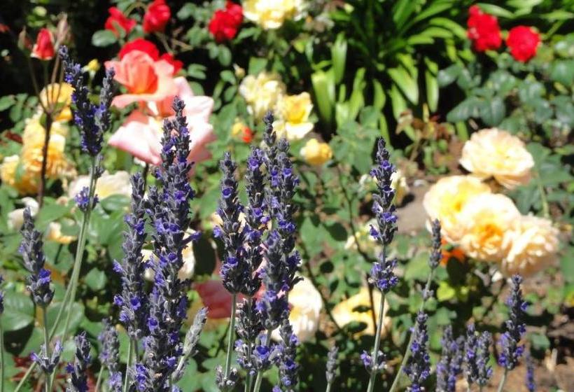 펜션 Montrose Guesthouse