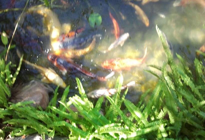 膳宿费 Montrose Guesthouse