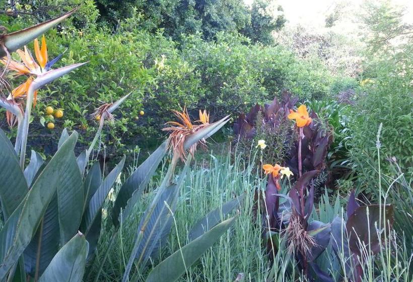 펜션 Montrose Guesthouse