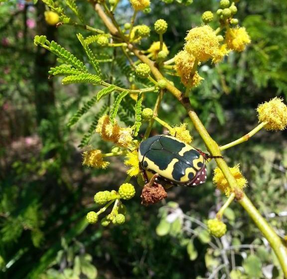 펜션 Montrose Guesthouse