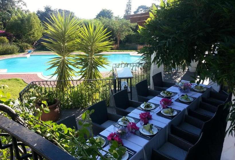 펜션 Montrose Guesthouse