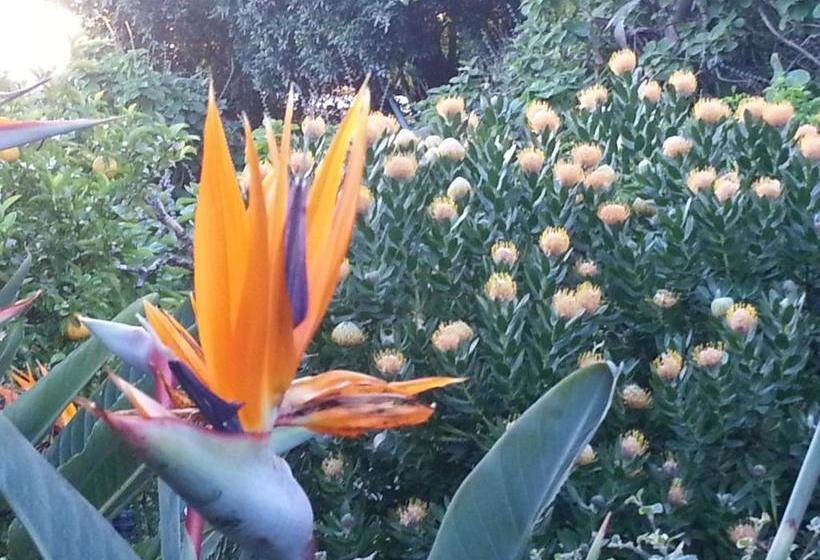 膳宿费 Montrose Guesthouse