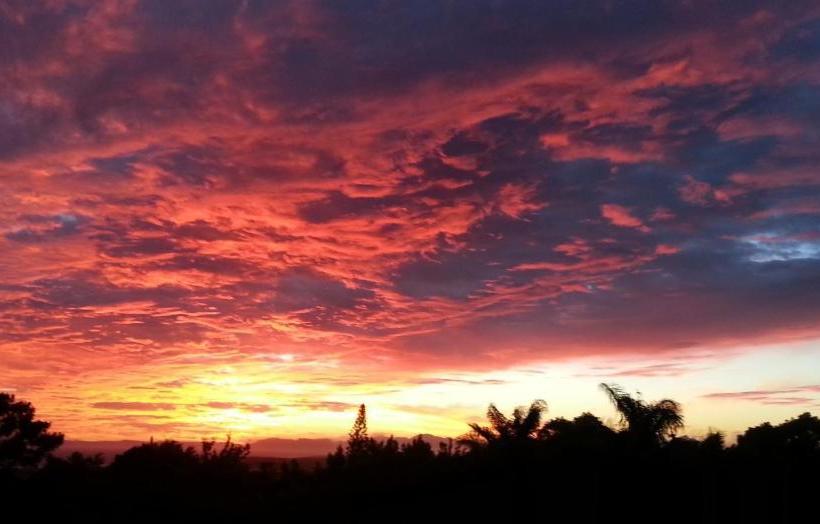 펜션 Montrose Guesthouse