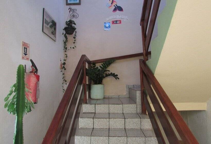 بنسيون Pousada Zenite