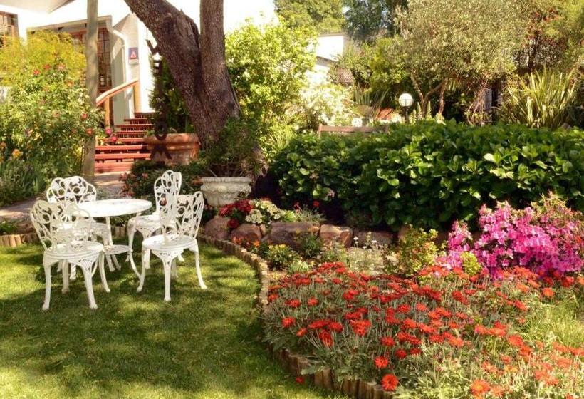 بنسيون Van Dykshuis Guest House