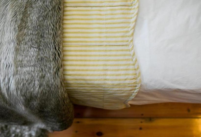 פנסיון Van Dykshuis Guest House