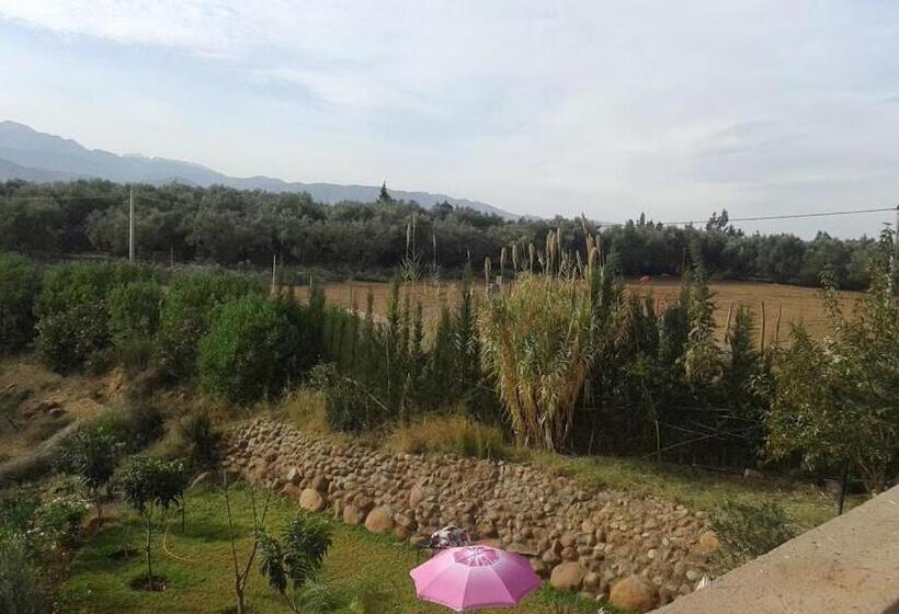 پانسیون Villa Paradise