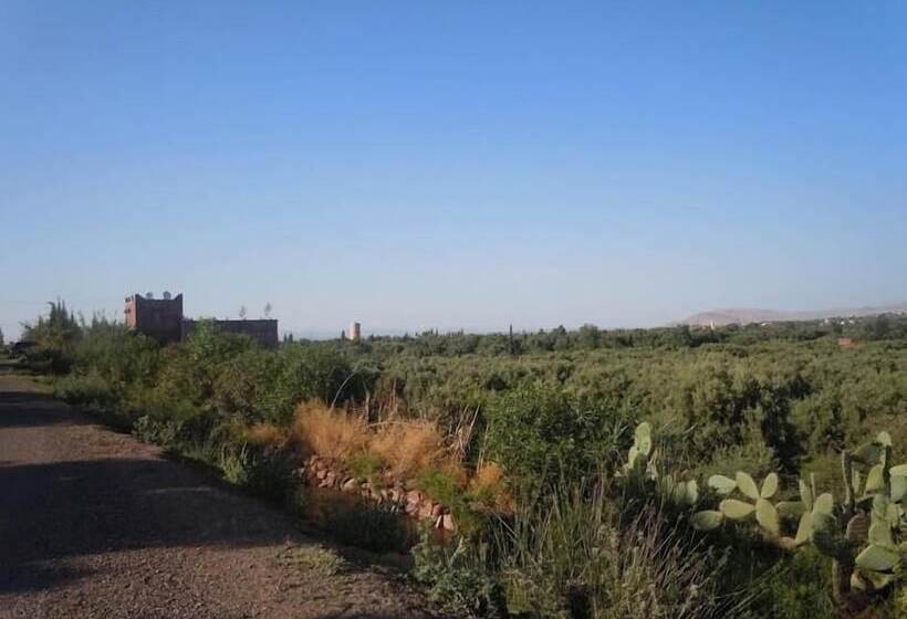 پانسیون Villa Paradise