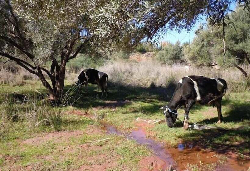 پانسیون Villa Paradise