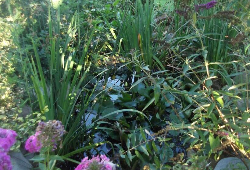 Pensiunea Raze De Soare