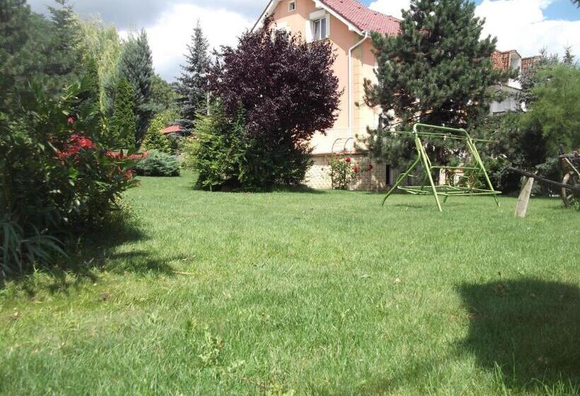 Pensiunea Raze De Soare