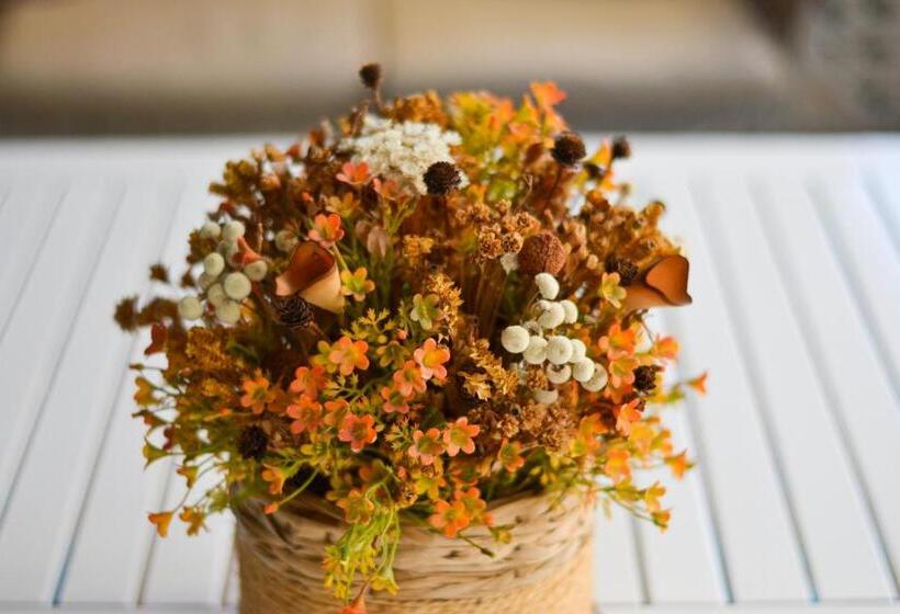 Vacation Fortaleza Apartment