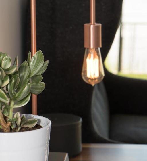 فندق صغير Skyfall Guestrooms