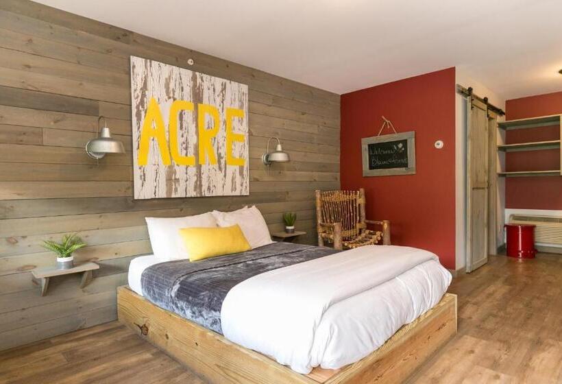 هاستل Warren Lodge