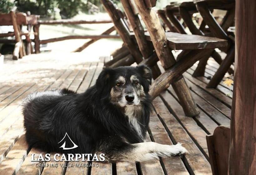 مبيت وإفطار Las Carpitas