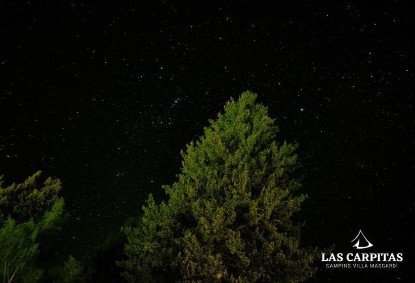 ベッドアンドブレックファースト Las Carpitas