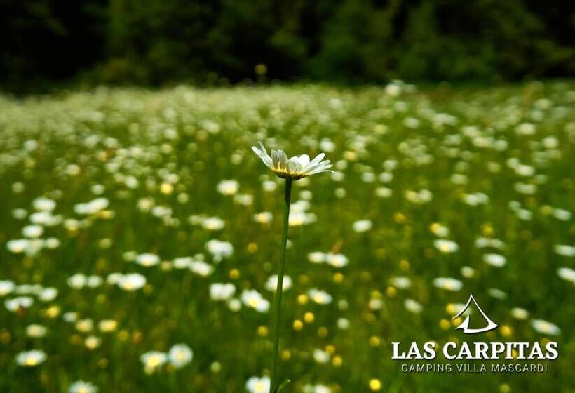 ベッドアンドブレックファースト Las Carpitas