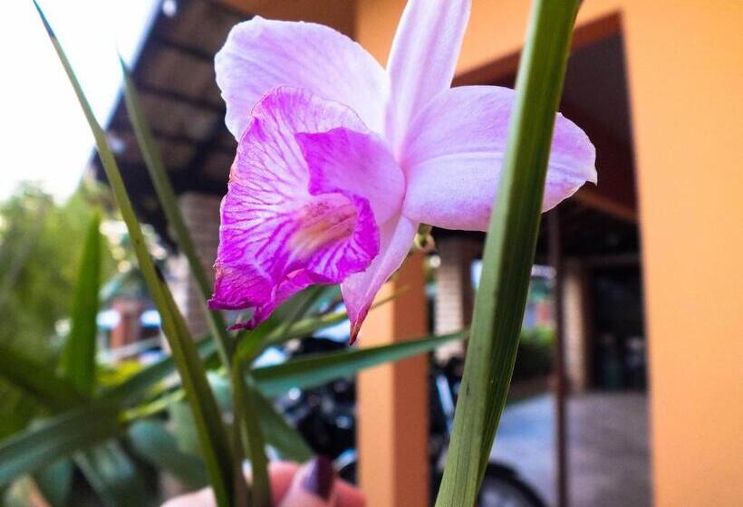 Пансион Aeropouso Pousada Executiva