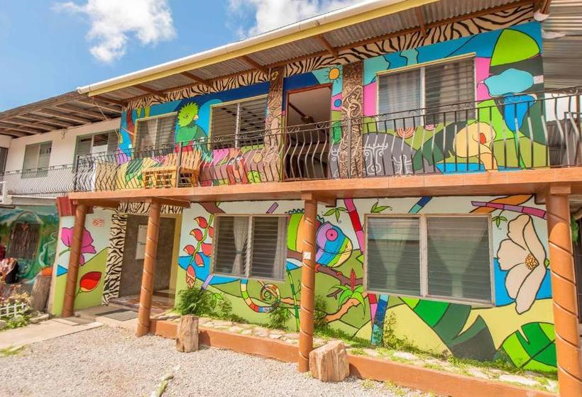 بنسيون Arte Hostal