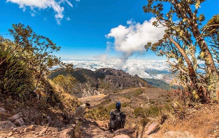 פנסיון Arte Hostal