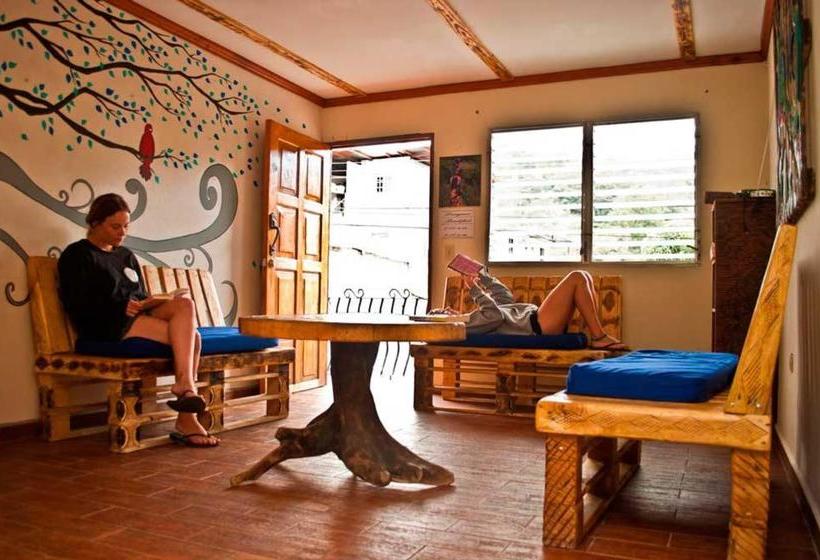 פנסיון Arte Hostal