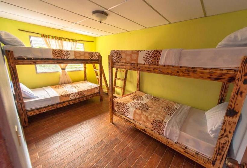 פנסיון Arte Hostal