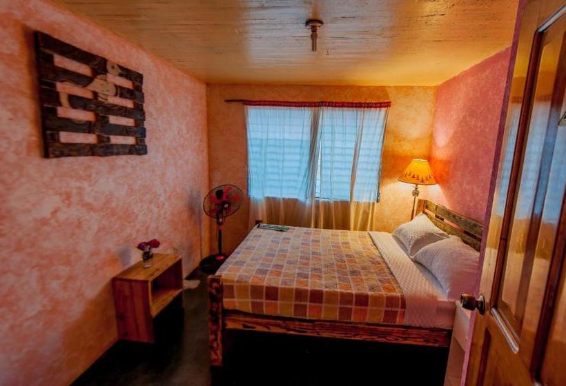 פנסיון Arte Hostal