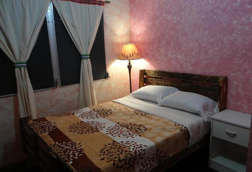 بنسيون Arte Hostal
