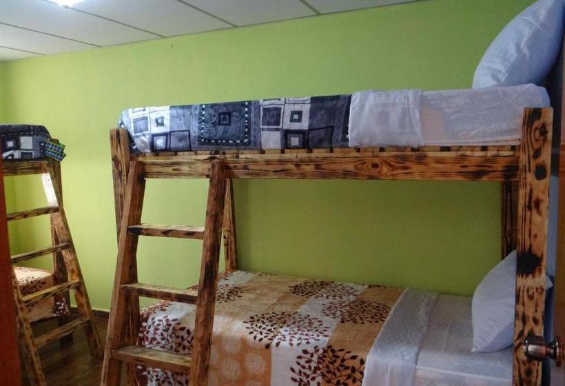 פנסיון Arte Hostal