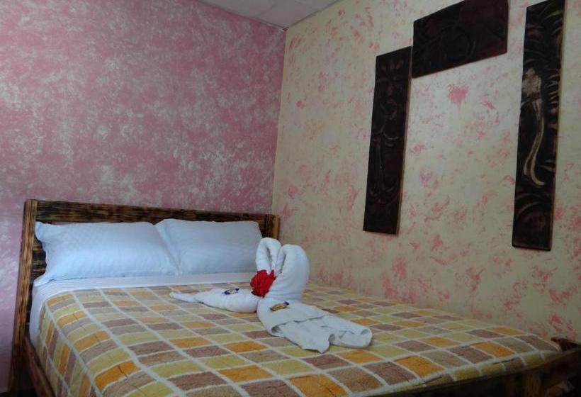 بنسيون Arte Hostal