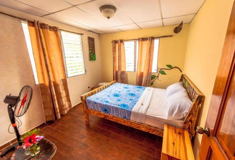 פנסיון Arte Hostal