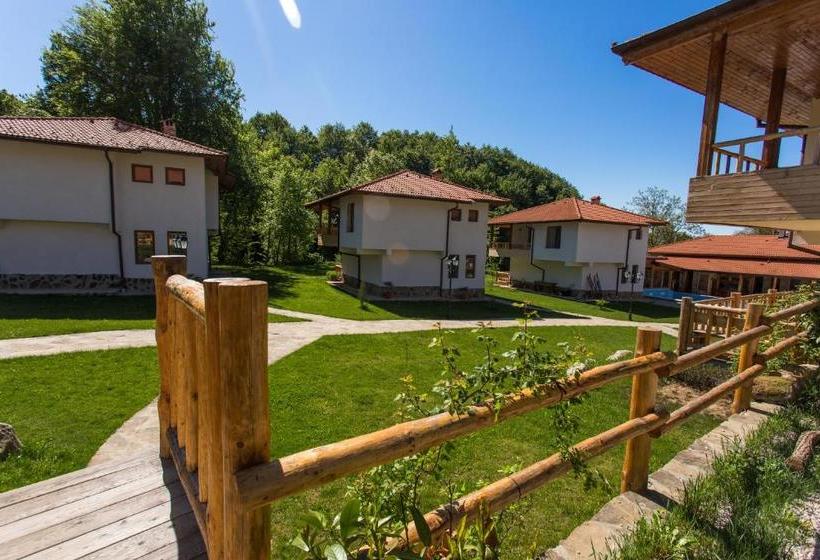 פנסיון Eco Rai Rekata