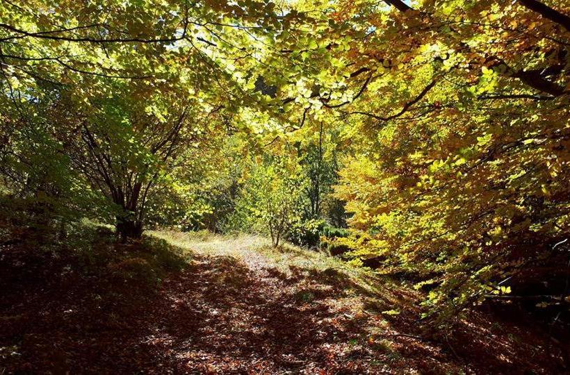 פנסיון Eco Rai Rekata