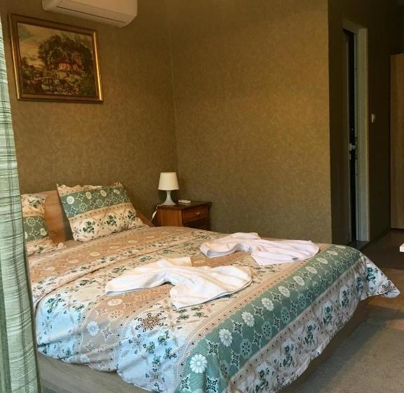 פנסיון Guest House Urdoviza