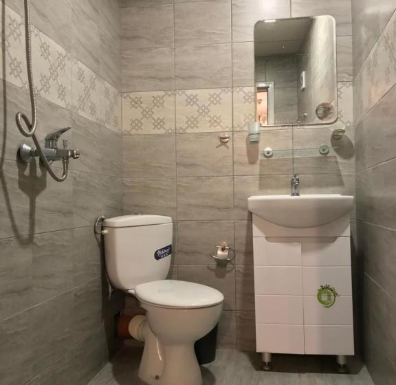 פנסיון Guest House Urdoviza