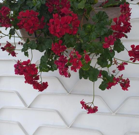 پانسیون Sweet Home Near Black Sea