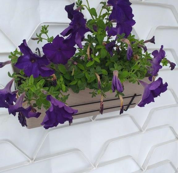 پانسیون Sweet Home Near Black Sea