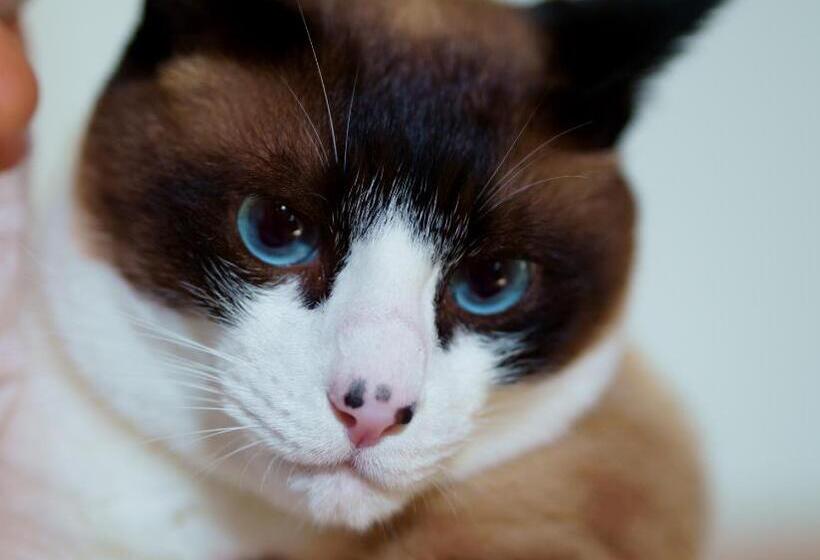 膳宿费 Takamatsu Guest House Bj Station