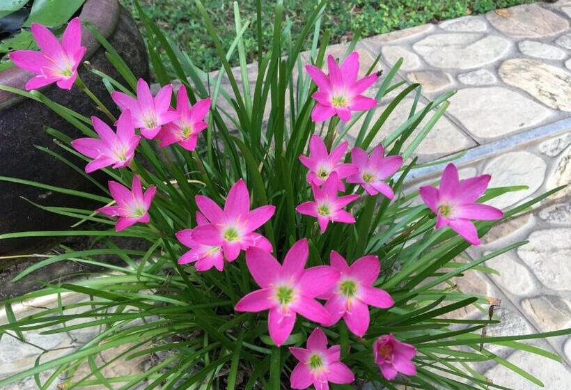 膳宿费 Travel Bird Villa   Foreign Bookings Only