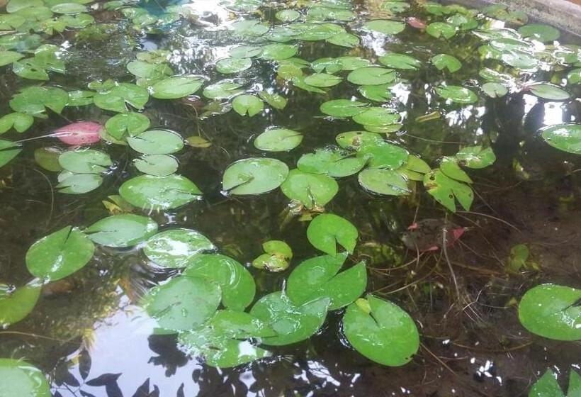 膳宿费 Travel Bird Villa   Foreign Bookings Only